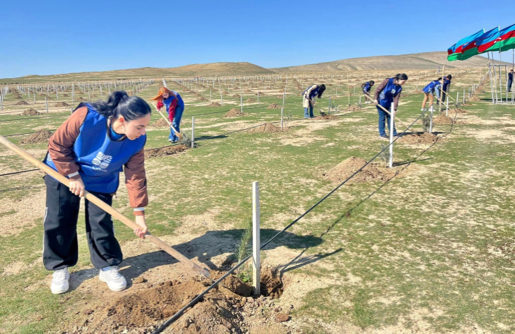 The General Customs Department of Air Transport contributed to the tree planting actions held within the framework of the "Year of Solidarity for the Green World"