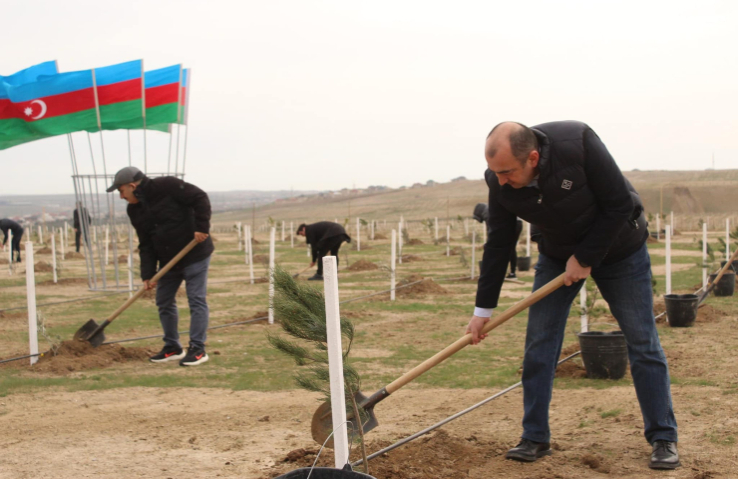 Tree planting actions continue in the "Year of Solidarity for the Green World".