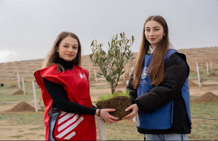 Ağacəkmə aksiyaları davam edir