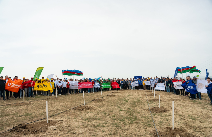"Konstitusiya və Suverenlik İli" çərçivəsində növbəti ağacəkmə aksiyaları təşkil olunub