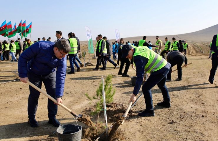 Zəfər Günü ilə əlaqədar ağacəkmə aksiyası keçirilib