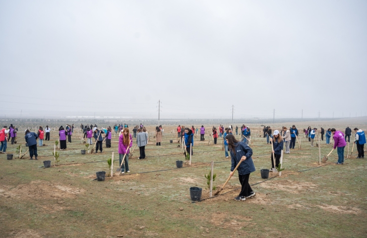 Azərbaycan Könüllülərinin iştirakı ilə Xocalı Soyqırımı qurbanlarının xatirəsinə həsr olunmuş ağacəkmə aksiyası keçirilib.