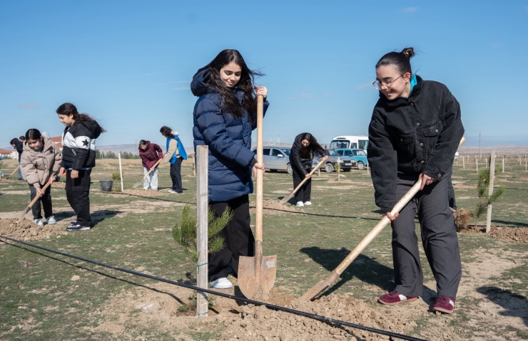 Od çərşənbəsində məktəblilərin iştirakı ilə ağacəkmə aksiyası keçirilib