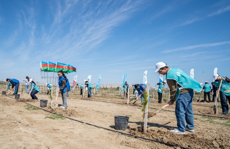 Ağacəkmə aksiyası keçirilib