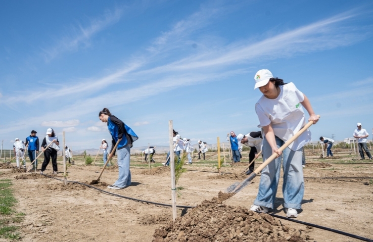 Yer Gününə həsr olunmuş ağacəkmə aksiyası keçirilib