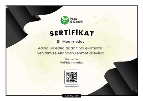 Anım günü (Şəhid)