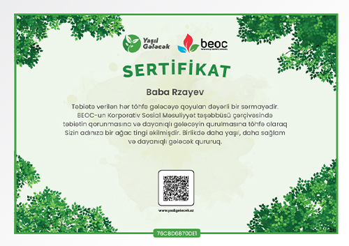 Hər ağacda bir enerji, hər addımda bir gələcək